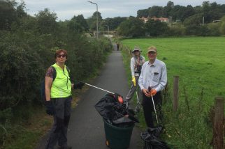COWC Litter picking action